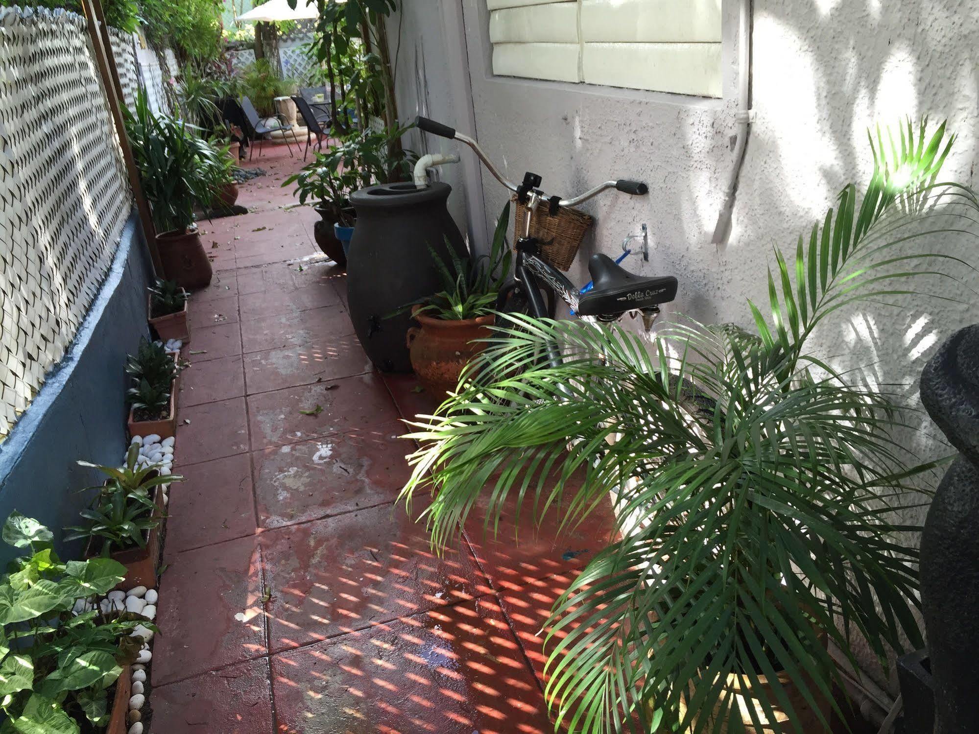 Lower Price, More Style, Discount Studio In San Juan,Pr, Beach, Free Bikes (Adults Only) Сан Хуан Екстериор снимка